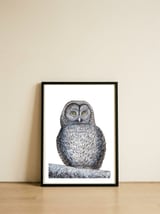 Owl — framed, leaning against the wall thumbnail