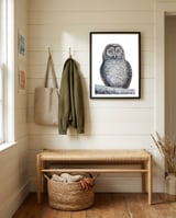 Owl framed in a relaxed room thumbnail