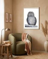 Owl framed in a tender room thumbnail