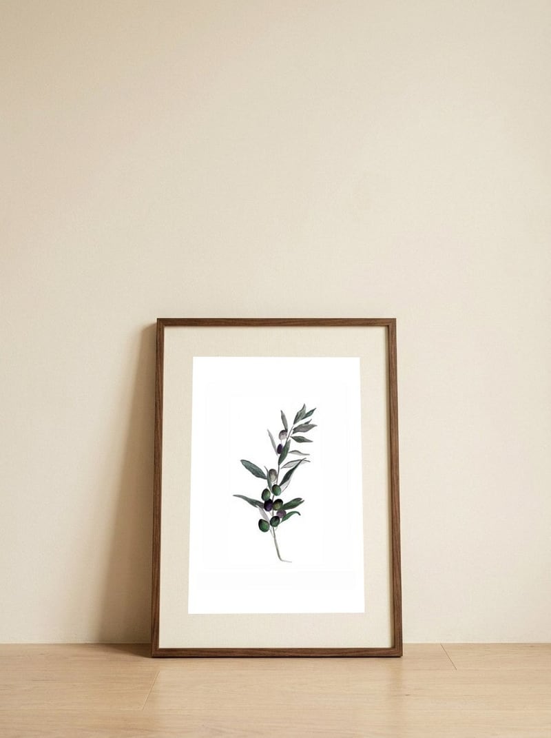 Botanical Illustration Olive — framed, leaning against the wall