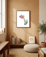 Botanical Illustration Pink Cactus Flower framed in a gentle room thumbnail