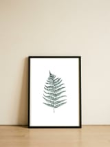 Botanical Illustration Silverfern — framed, leaning against the wall thumbnail