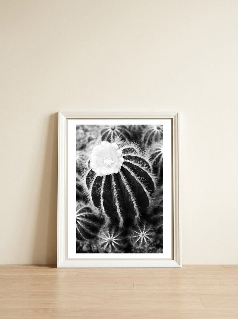 Cactus — framed, leaning against the wall