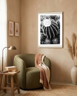 Cactus framed in a tender room thumbnail