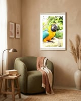 Parrot framed in a tender room thumbnail