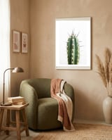 Cacti framed in a tender room thumbnail