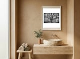 Lichens framed in a serene room thumbnail