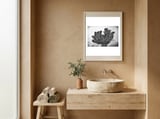 Cut down tree top framed in a serene room thumbnail