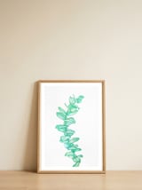 Eucalyptus — framed, leaning against the wall thumbnail
