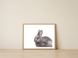 Rabbit — framed, leaning against the wall thumbnail