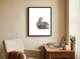 Rabbit framed in a focused room thumbnail
