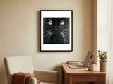 Moustache framed in a focused room thumbnail