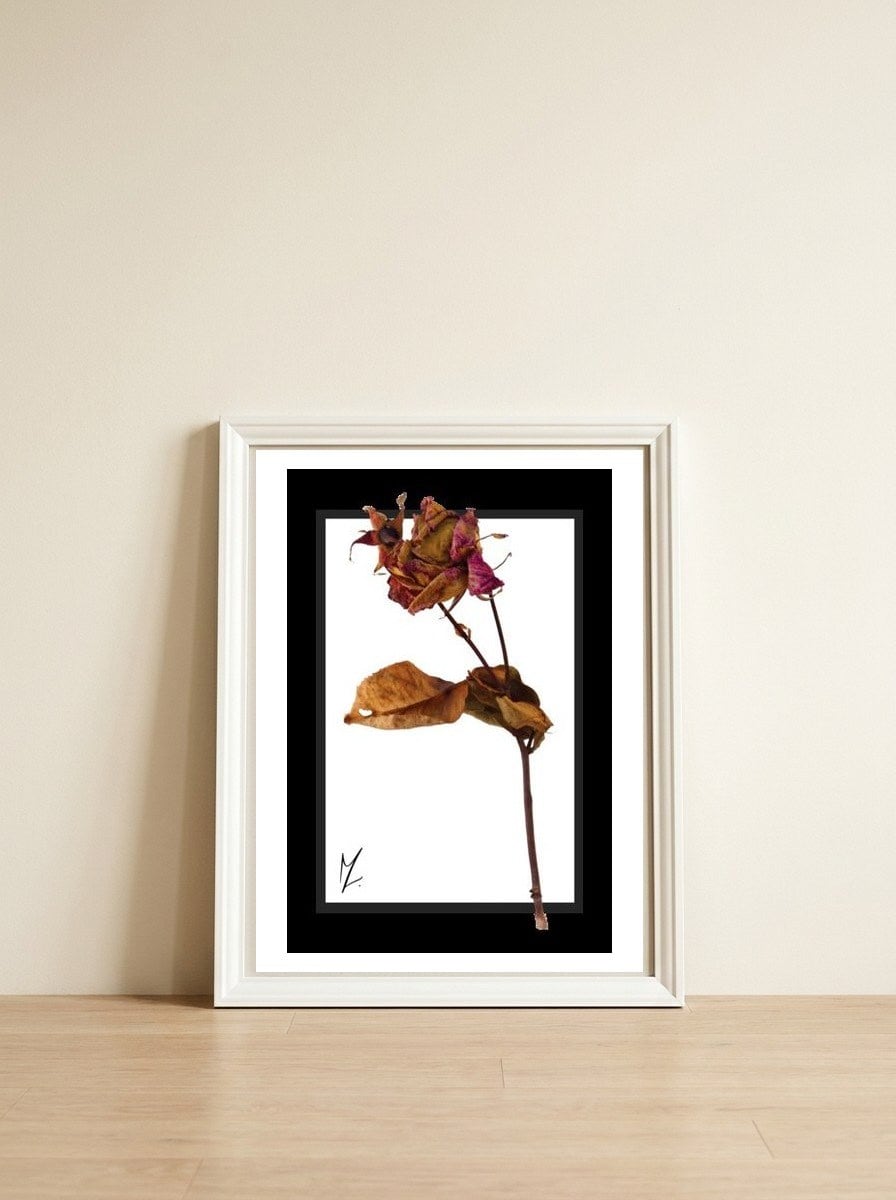 Flower 1 — framed, leaning against the wall