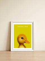 Duckling — framed, leaning against the wall thumbnail
