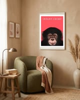 Infant Chimp framed in a tender room thumbnail