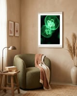 Jellyfish framed in a tender room thumbnail