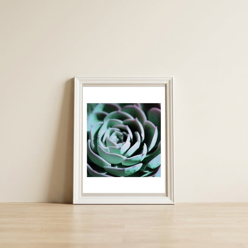 DARKSIDE OF SUCCULENTS III-A — framed, leaning against the wall