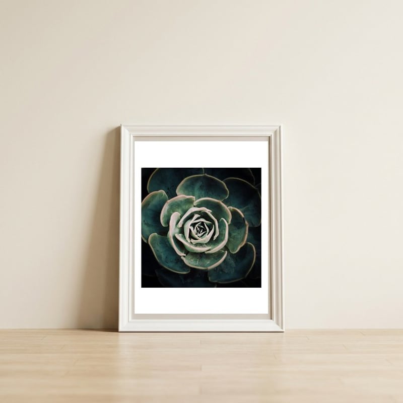 DARKSIDE OF SUCCULENTS IV-A — framed, leaning against the wall