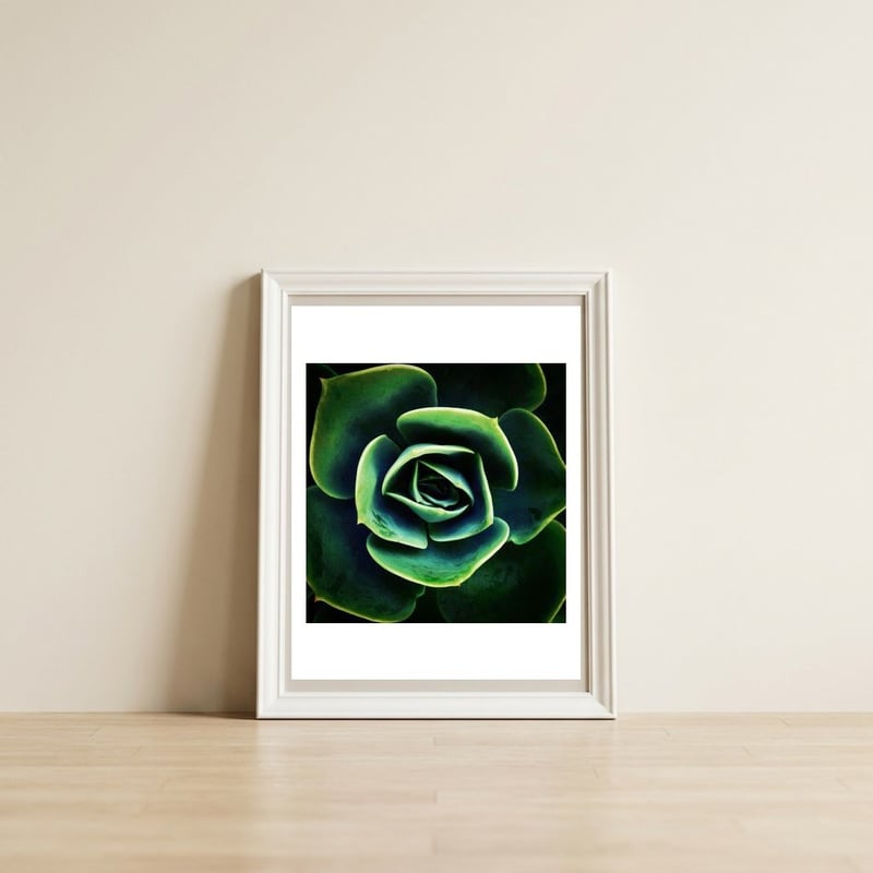 DARKSIDE OF SUCCULENTS XIV — framed, leaning against the wall