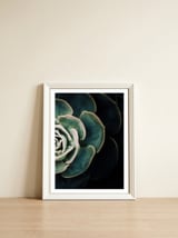 Darkside Of Succulents 4-B — framed, leaning against the wall thumbnail