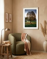 Autumnal Tree framed in a tender room thumbnail