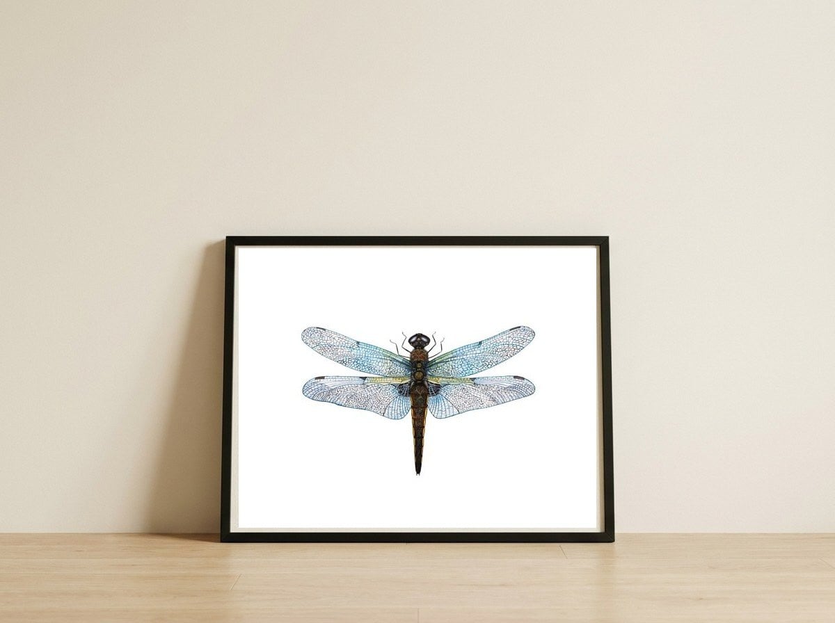 Dragonfly — framed, leaning against the wall