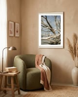 Seashells And Driftwood  framed in a tender room thumbnail