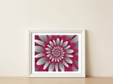 Paper Cut Flower Spiral — framed, leaning against the wall thumbnail