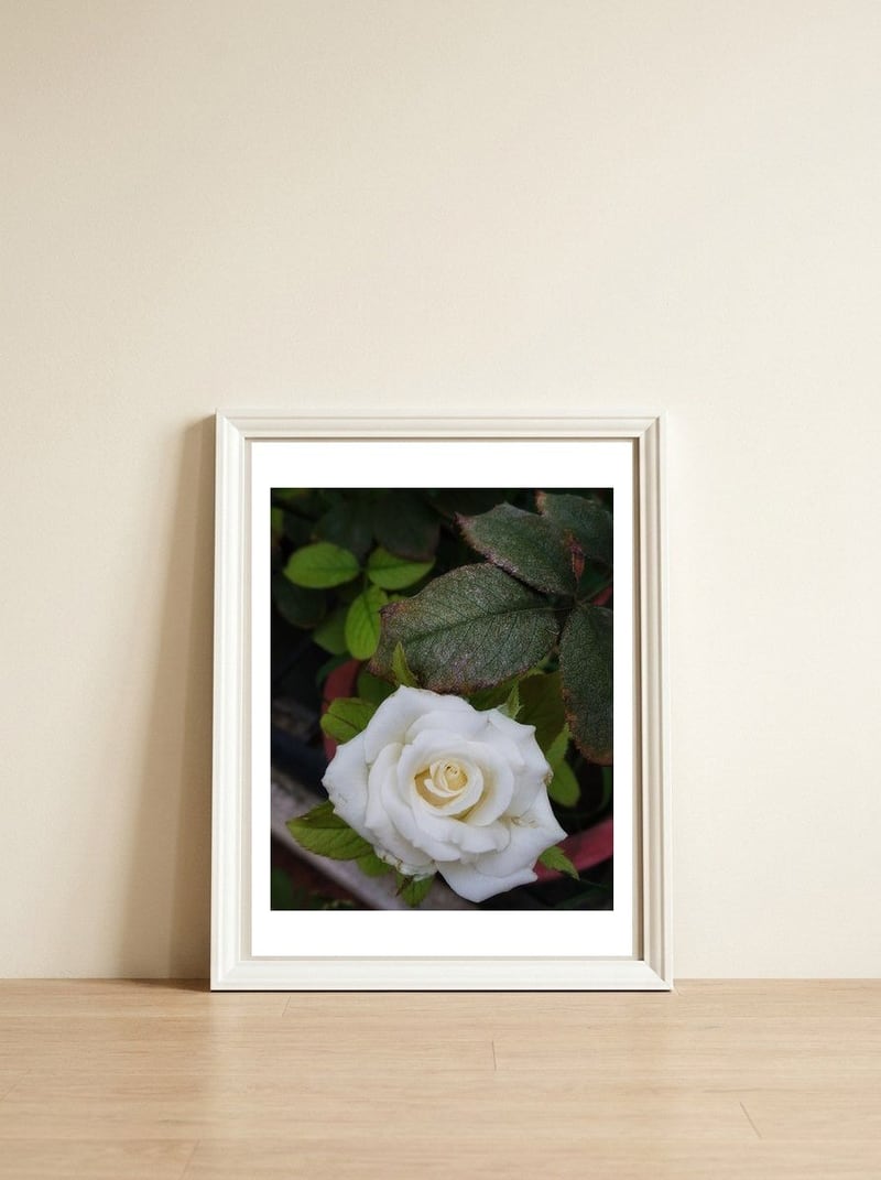 Angel Rose — framed, leaning against the wall