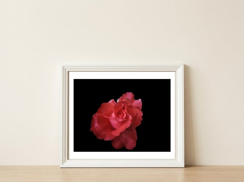 Coral Rose — framed, leaning against the wall