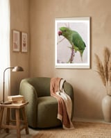 Lovely Indian Cute Parrot framed in a tender room thumbnail