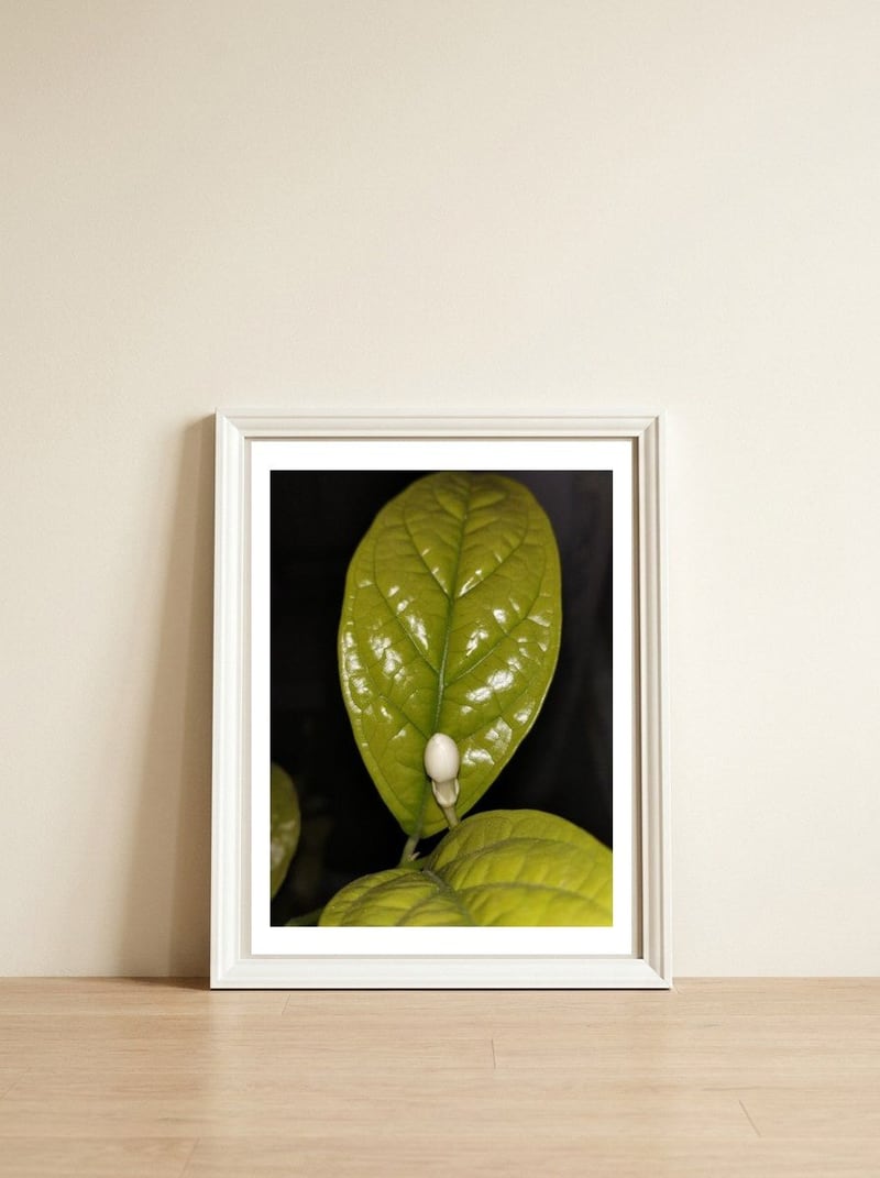 Jasmine Flower Fragrance — framed, leaning against the wall