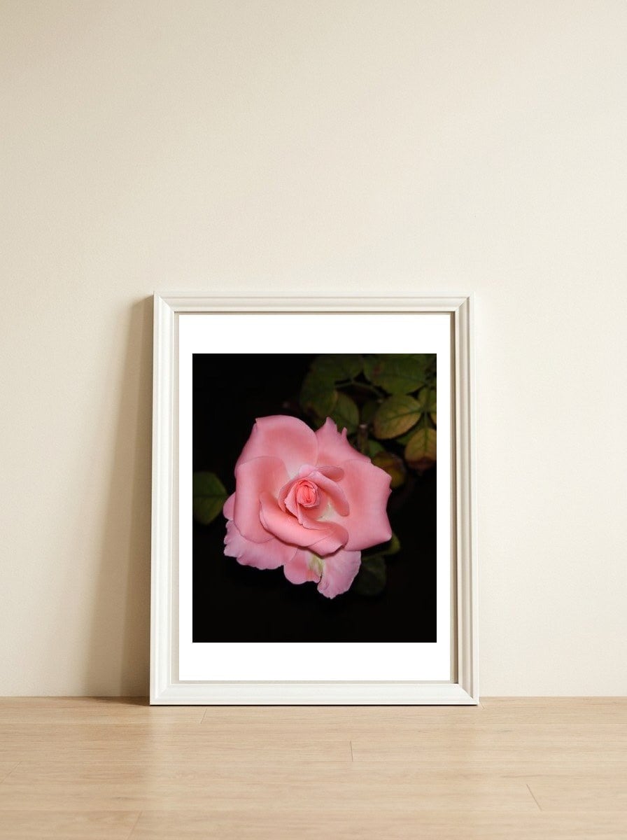 Pink Rose Floral — framed, leaning against the wall