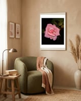 Pink Rose Floral framed in a tender room thumbnail