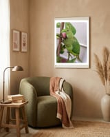 Posing Indian Parrot framed in a tender room thumbnail
