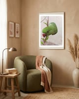 My Cute Parrot framed in a tender room thumbnail
