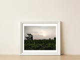 Never Ending Journey — framed, leaning against the wall thumbnail