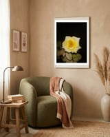 Yellow Rose framed in a tender room thumbnail