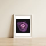 Glittering Rose — framed, leaning against the wall thumbnail