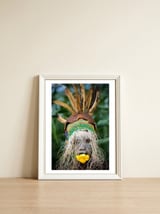 Suri Flower — framed, leaning against the wall thumbnail