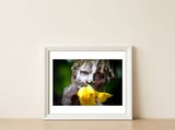 Sure flower — framed, leaning against the wall thumbnail