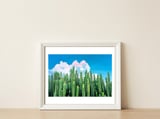 Cactus Summer — framed, leaning against the wall thumbnail