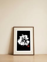 sumotori — framed, leaning against the wall thumbnail