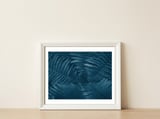 Pteridopsida 4 — framed, leaning against the wall thumbnail