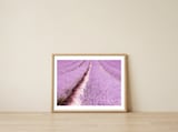 Lilac Love — framed, leaning against the wall thumbnail