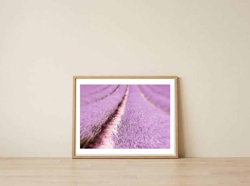 Lilac Love — framed, leaning against the wall