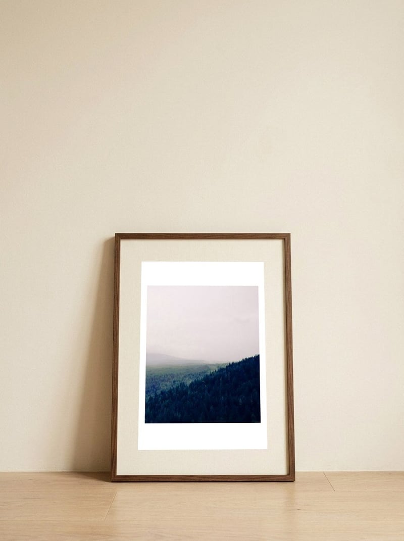 Priceless Treasure — framed, leaning against the wall