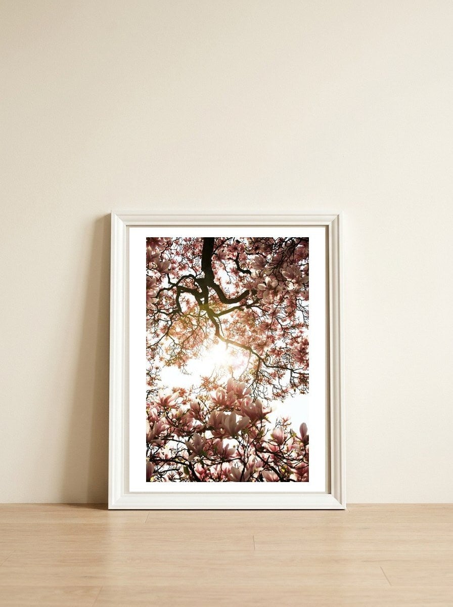Magnolia tree — framed, leaning against the wall