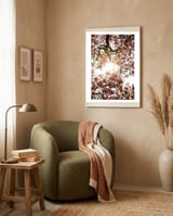 Magnolia tree framed in a tender room thumbnail