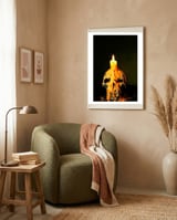 Skull  framed in a tender room thumbnail